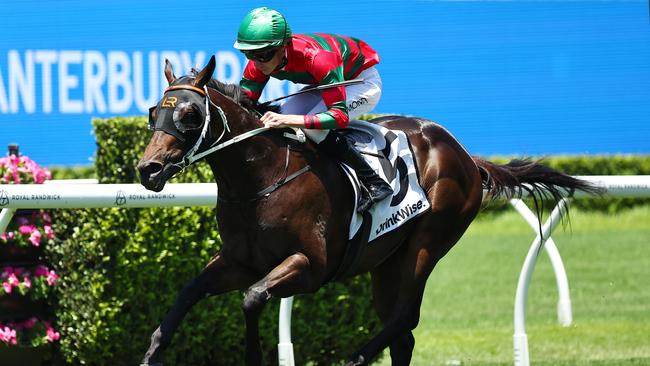 SYDNEY, AUSTRALIA - JANUARY 04: Benjamin Osmond riding Rivellino win Race 1 Drinkwise Mdn Plate during Sydney Racing at Royal Randwick Racecourse on January 04, 2025 in Sydney, Australia. (Photo by Jeremy Ng/Getty Images)