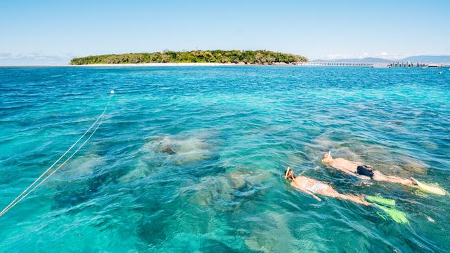 Snorkelling at Green Island. Picture: Tourism and Events Queensland.