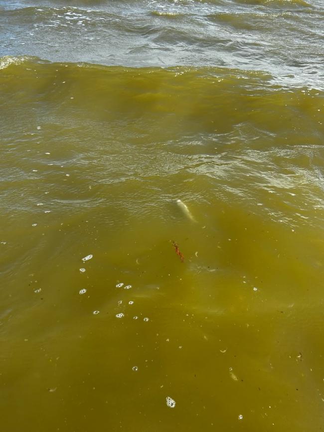 Water discolouration after last week’s storm-tide between Seven Mile and Sam’s Island in the Coorong. Picture: Supplied
