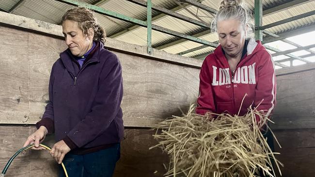 All day Ms Hosking and Ms Bloch were busy caring for their horses. Picture: Odessa Blain.