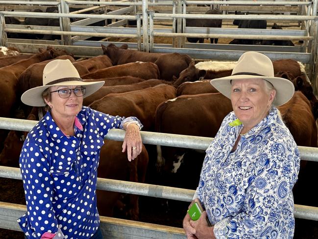 Sisters Pam Conrick, Wentworth NSW and Chris Hentschke, Evesham Downs, Keith selling cattle. Picture: Kate Dowler