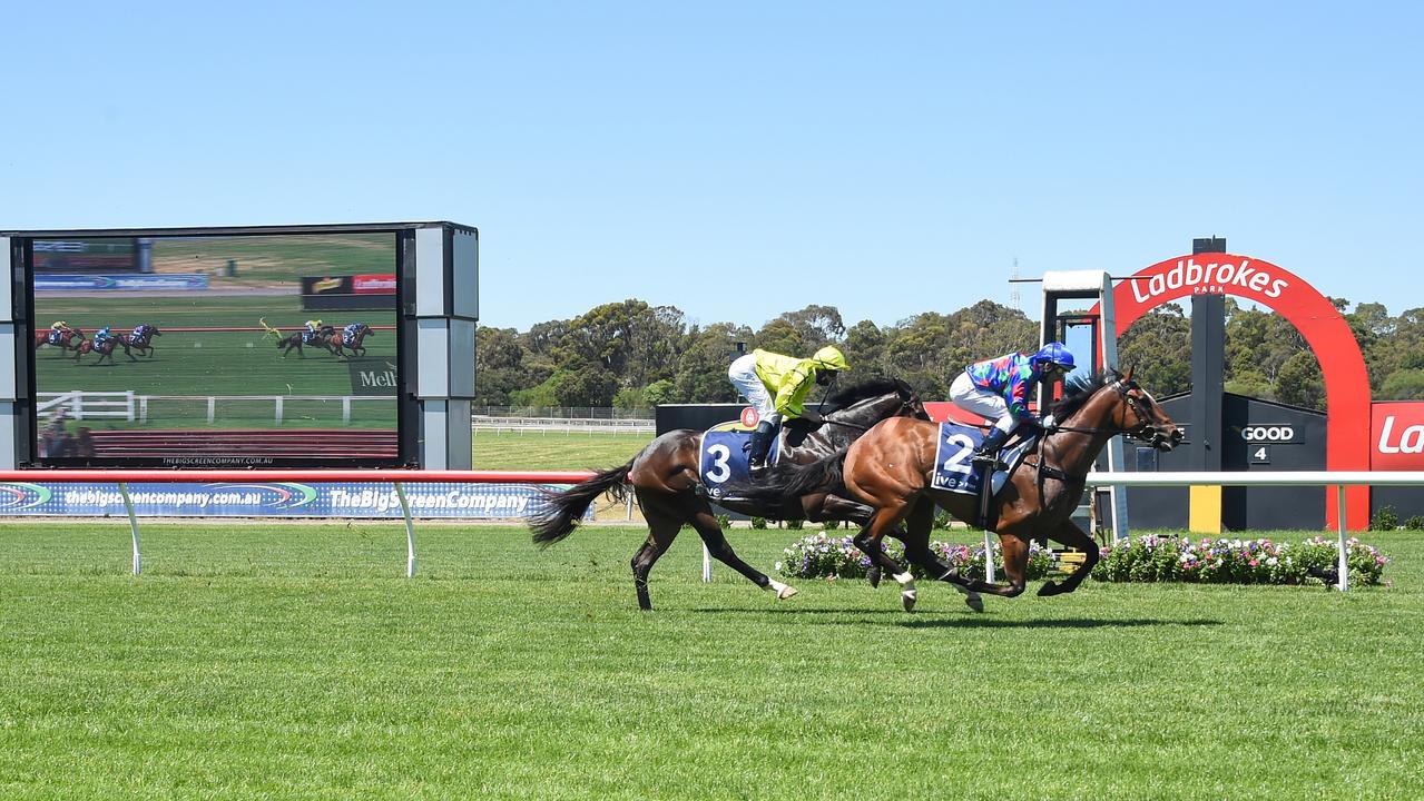 Sandown Hillside hosts Saturday’s Melbourne meeting. Photo: Pat Scala/Getty Images.