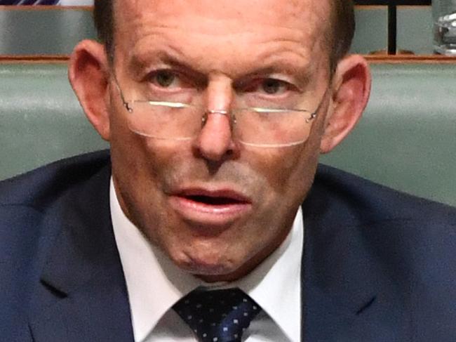 Former prime minister Tony Abbott during House of Representatives Question Time at Parliament House in Canberra, Monday, June 19, 2017. (AAP Image/Mick Tsikas) NO ARCHIVING