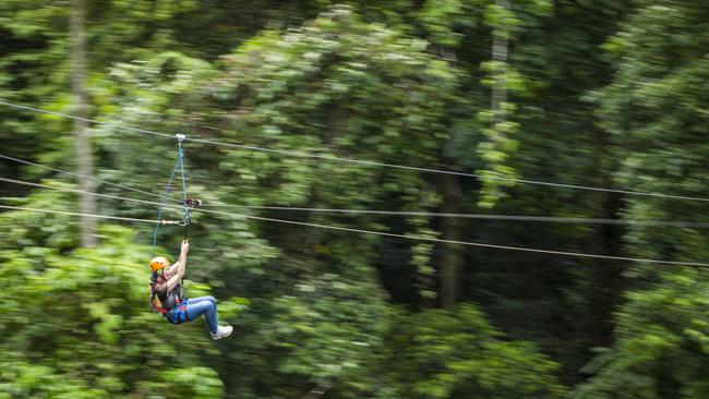 Jungle Surfing Canopy Tours at Cape Tribulation was a profitable business before a tragedy occurred and it went into liquidation. It has now been purchased by Treetop Adventures, owned by Experience Co. Picture: supplied.