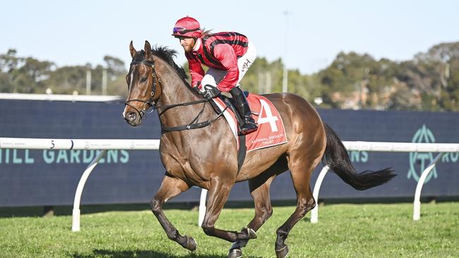 Compelling Truth is also headed for Scone. Picture: Bradley Photos