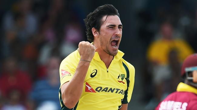 Mitchell Starc took eight wickets in his first series for Australia in over six months.