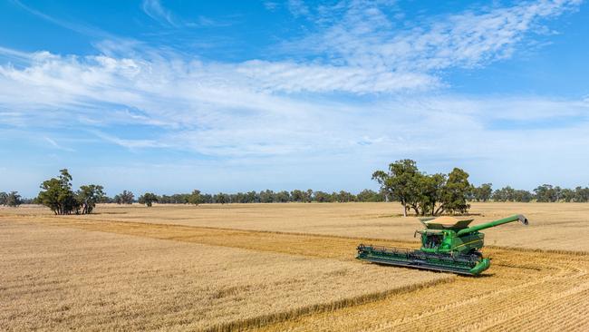 Glengarry at Hopefield has predominantly been used for cropping with some sheep production too.