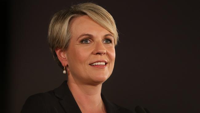 Tanya Plibersek and the rest of the front bench were convinced they would win the election.