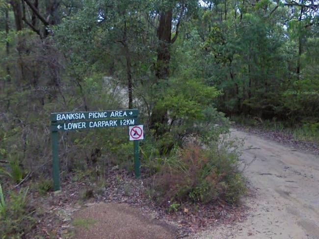 The road to Banksia lookout and picnic area in Strickland State Forest, Somersby, where Scowen was parked. Picture: Google