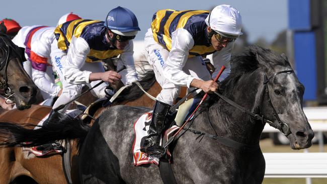 Damien Oliver wins on Bauer in the 2008 Geelong Cup.