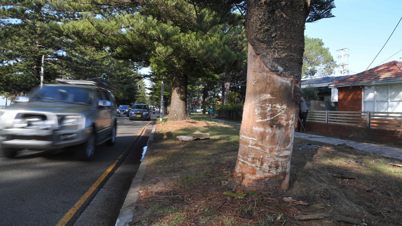 Monterey, NSW: Police Allege Driver Caused Crash That Killed Two ...