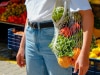 Your official winter nutrition checklist, to keep you healthy all year long