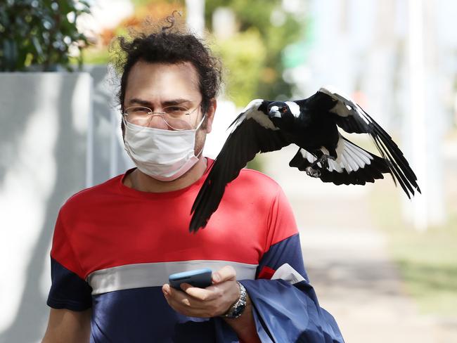 PHD student Amir Ganjavi, 31, escapes the magpie. Picture: Liam Kidston