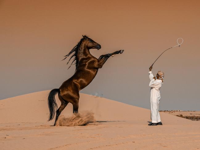 Abbas Alkhami’s entry into the 2020 Sony World Photography Awards, which took home a place as Winner in the National Awards. It is of a horse breeder in Abu Dhabi, United Arab Emirates. Picture: Abbas Alkhamis, Saudi Arabia/2020 Sony World Photography Awards