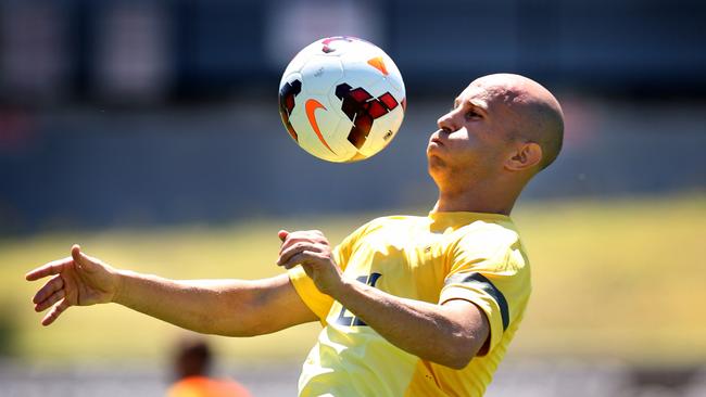 Mark Bresciano still has a key role to play.