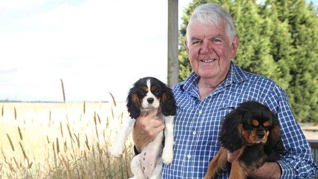 Greg Browne is currently undergoing radiation therapy for prostate cancer. Pictured with his two of his Cavalier King Charles spaniels Fever and Inky. Picture: Alan Barber