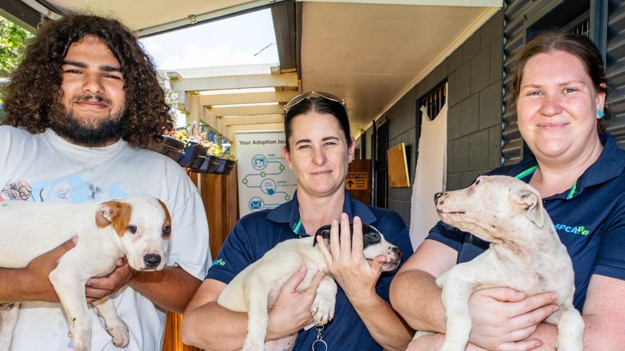 Kingaroy RSPCA will close on June 30, 2025 after operating in the South Burnett for about 20 years. Photo credit: Kingaroy RSPCA