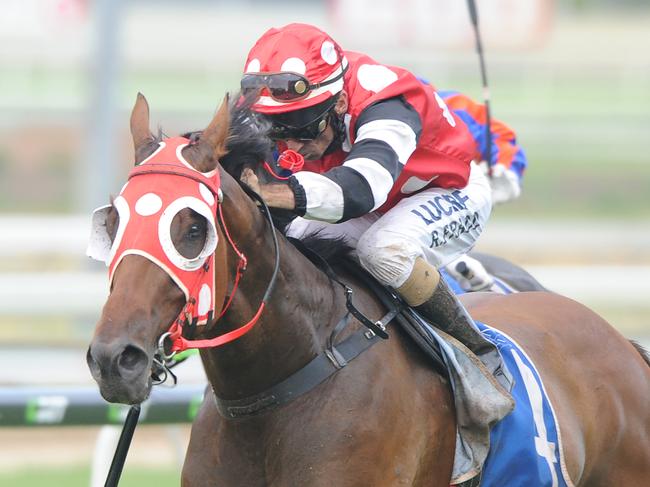 Right Or Wrong wins at Doomben on January 30. Picture: Trackside Photography.