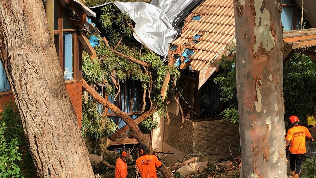 A tree crashes into a bedroom of a home in Brolga Pl, Belrose. Picture: Jim O'Rourke.