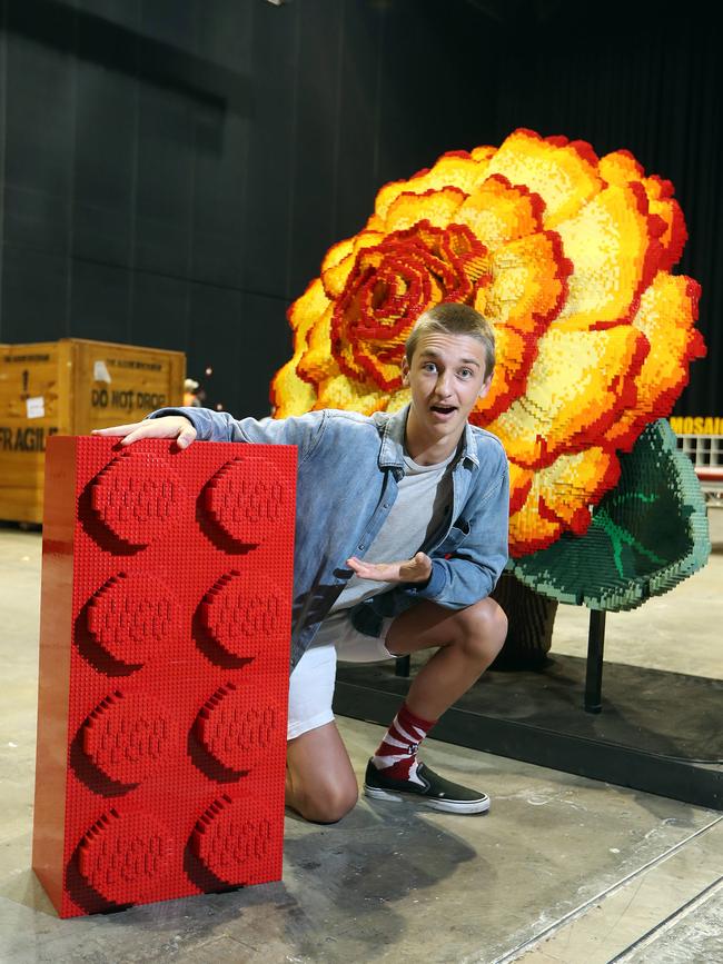 The Centre has held events likle the Lego Exhibition with huge creations. Oscar Churchill (17) with one of the works on show. Photo by Richard Gosling