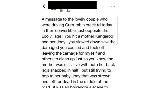 A Gold Coast woman took to Facebook to detail a hit and run on a kangaroo and joey on Currumbin Creek Rd at Currumbin. Picture: Facebook