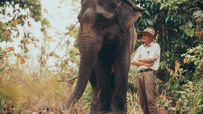 Why you should visit Thailand, according to an elephant expert