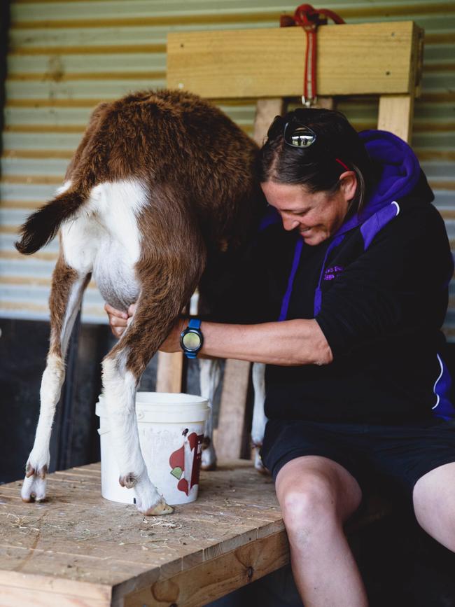 Coens Farm Fresh at Lakes Entrance has been a huge hit with locals and visitors.