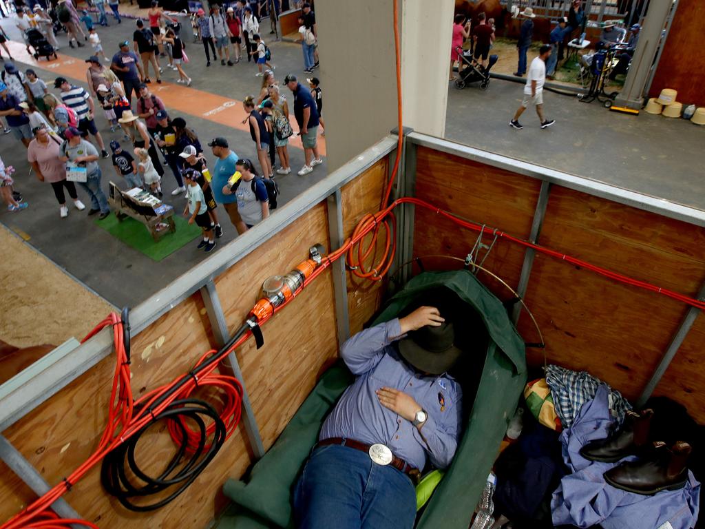 Farmer Mitchell Trustum from Casino escapes the show crowds to relax in his accommodation box above the cattle pavilion. Picture: Toby Zerna