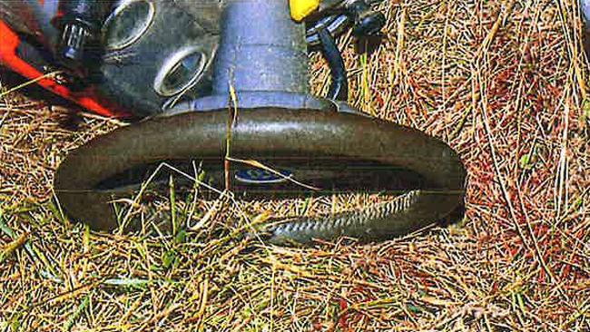 Blood pictured near the mower where Frances Crawford’s body was found. Source: Supreme and District Courts Brisbane.
