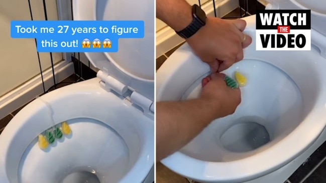 Correct way to use toilet cleaner according to viral TikTok video
