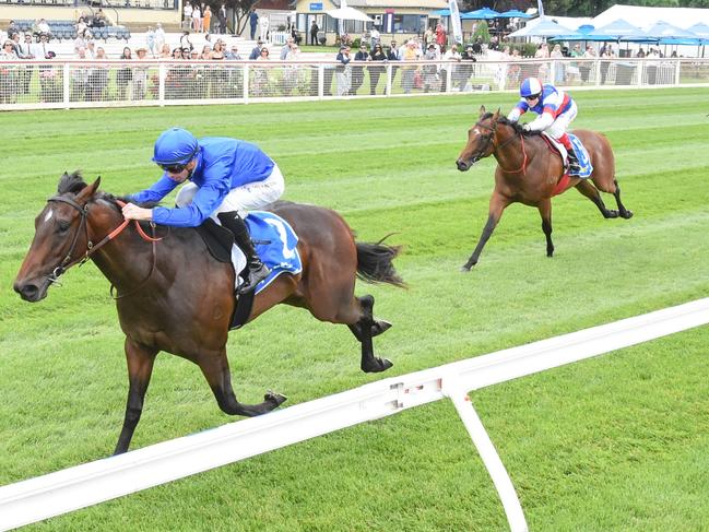 Aleppo Pine ridden by Jye McNeil wins the The Courier Handicap at Sportsbet-Ballarat Racecourse on December 07, 2024 in Ballarat, Australia. (Photo by Brett Holburt/Racing Photos via Getty Images)