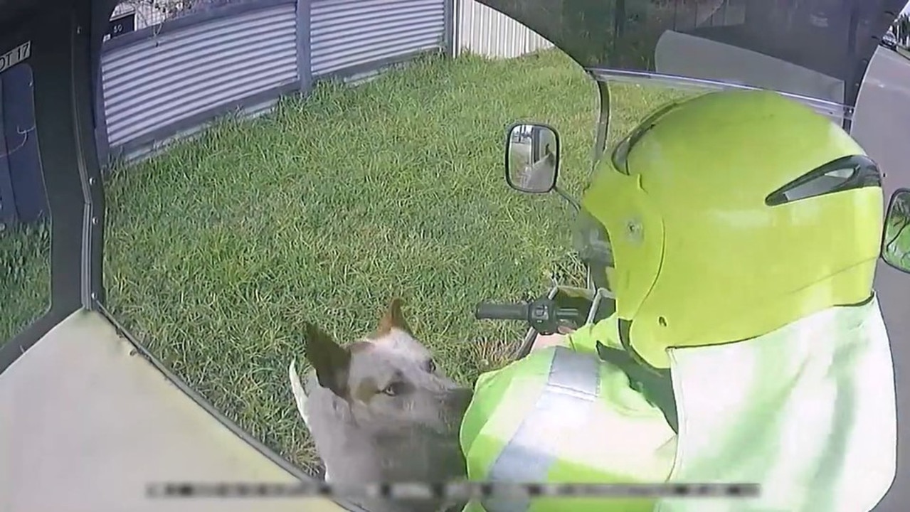 Most of the dog attacks happened out the front of the house. Picture: Australia Post