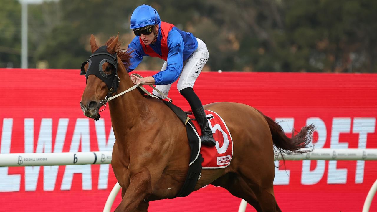 Chad Schofield brings up a winning double for the day on Golden Path in the WJ McKell Cup at Rosehill. Picture: Getty Images