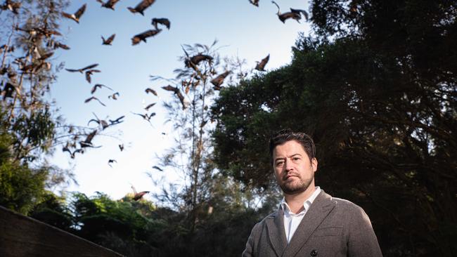 ‘Not in our backyard’: Hunters Hill councillor Ben Collins at Tarban Creek, Huntleys Cove, where a big colony of noisy bats are located. (AAP, Flavio Brancaleone)