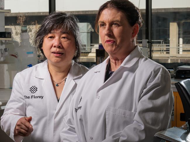 MELBOURNE, AUSTRALIA - August 07, 2024:, Researchers Professor Anne-Louise Ponsonby (left) and Dr Wah Chin Boon photographed at the University of Melbourne. Picture: Nadir Kinani / The Australian