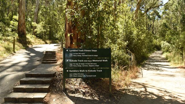 The 1000 Steps in Upper Ferntree Gully.