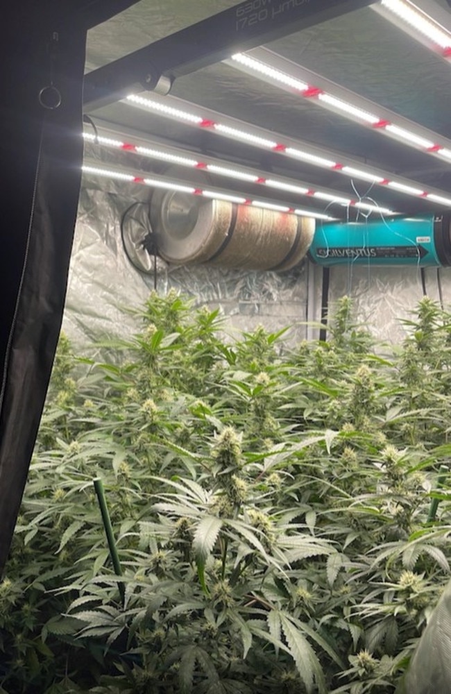 Detectives from Taskforce Maxima South Eastern Region found a grow house during the search warrants. Photo: Queensland Police Service