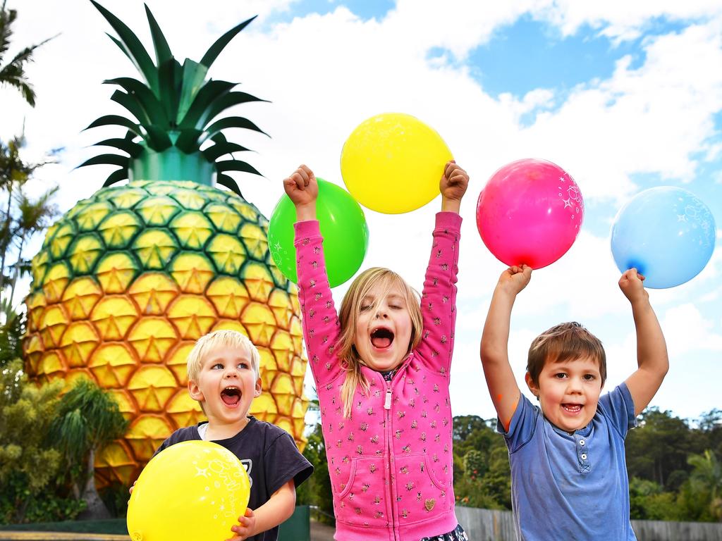 The Big Pineapple, pictured with fans Seth Smith, then 3, with siblings Anouk, 7, and Zachary, 4, turned 50 in August last year and has also been suggested as a Brisbane Games mascot. Picture: supplied