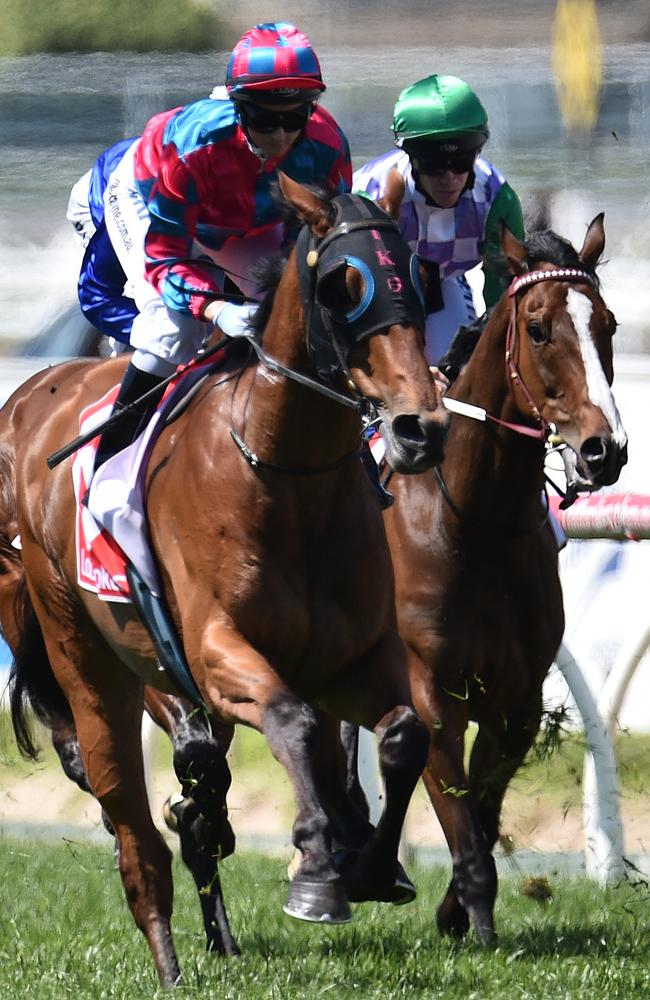 Michelle Payne and Dandy Gent (left) shadow John Allen and Prince Of Penzance during the running of the second race at Caulfield. Picture: AAP