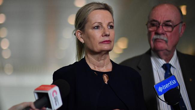 Sussan Ley has been Environment Minister since the last election in 2019. Picture: Sam Mooy