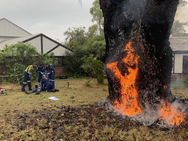 Parmadecis treat the woman as the tree she was standing under burns after a lightning strike in Arcadia. Picture: Careflight