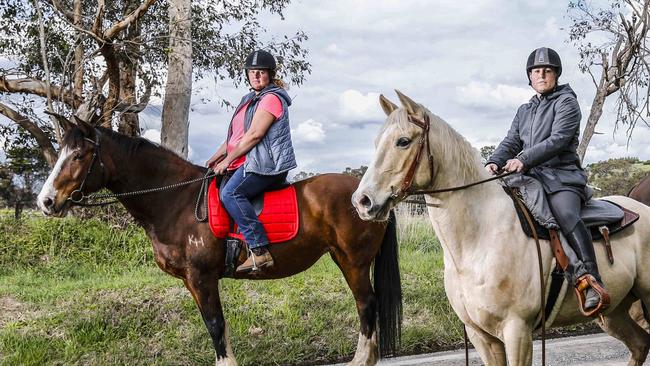 Horse riders say equestrian trails are being threatened by mass developments. Picture: Wayne Taylor