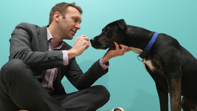 National Veterinary Care owns and operates veterinary clinics in Australia and New Zealand. Managing director Tomas Steenackers with Chevy, a one-year-old male, at their Yatala clinic. Picture: Glenn Hampson