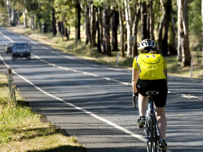 ‘Safety hazard’ trees to be removed from New England Hwy