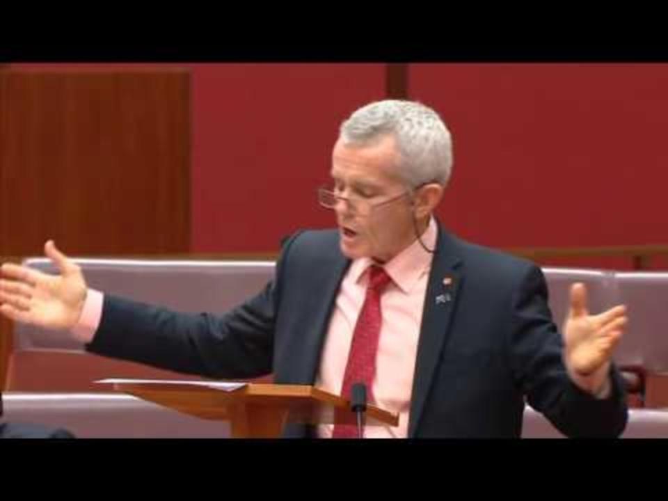 One Nation Senator Calls for Australia to Exit UN, Refers to EU as 'Socialist Monolithic Monster'