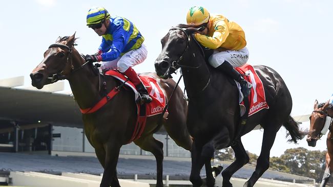 Mauricio (right) finishes second to Flying Fizz at Sandown.