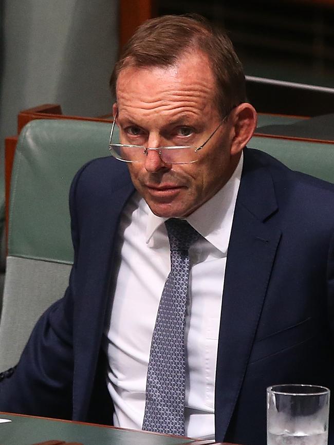 Mr Abbott in Question Time Picture: Kym Smith