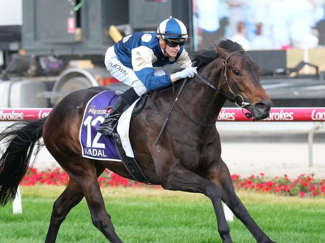 Nadal ridden by Ethan Brown wins the The Ladbrokes Meteorite at Cranbourne Racecourse on November 23, 2024 in Cranbourne, Australia. (Photo by Scott Barbour/Racing Photos via Getty Images)