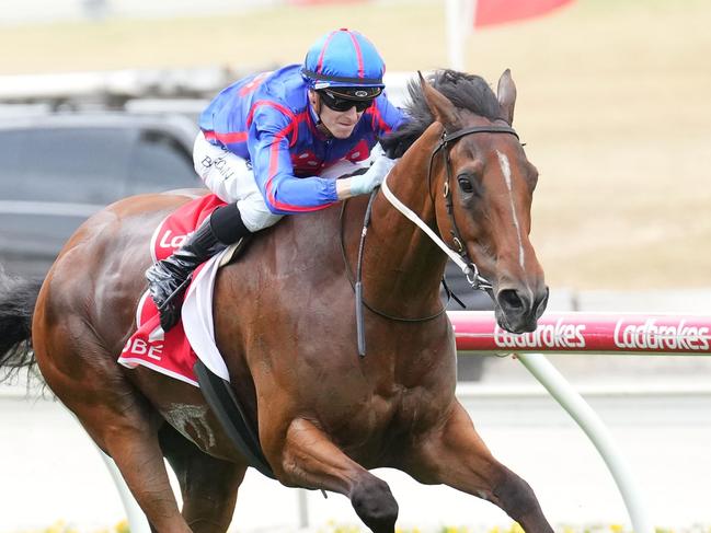 Globe (NZ) ridden by Ethan Brown wins the Ladbrokes Cranbourne Cup at Cranbourne Racecourse on November 23, 2024 in Cranbourne, Australia. (Photo by Scott Barbour/Racing Photos via Getty Images)