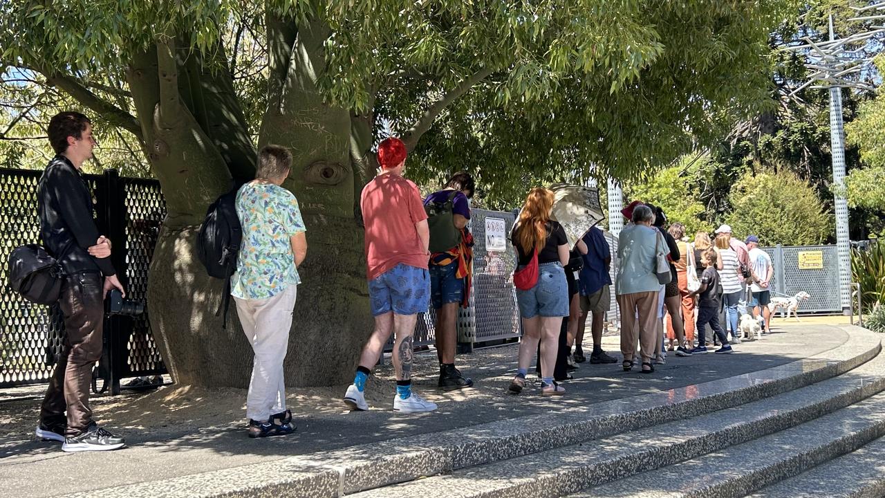 People queue to see The corpse flower in Geelongs Botanical Gardens